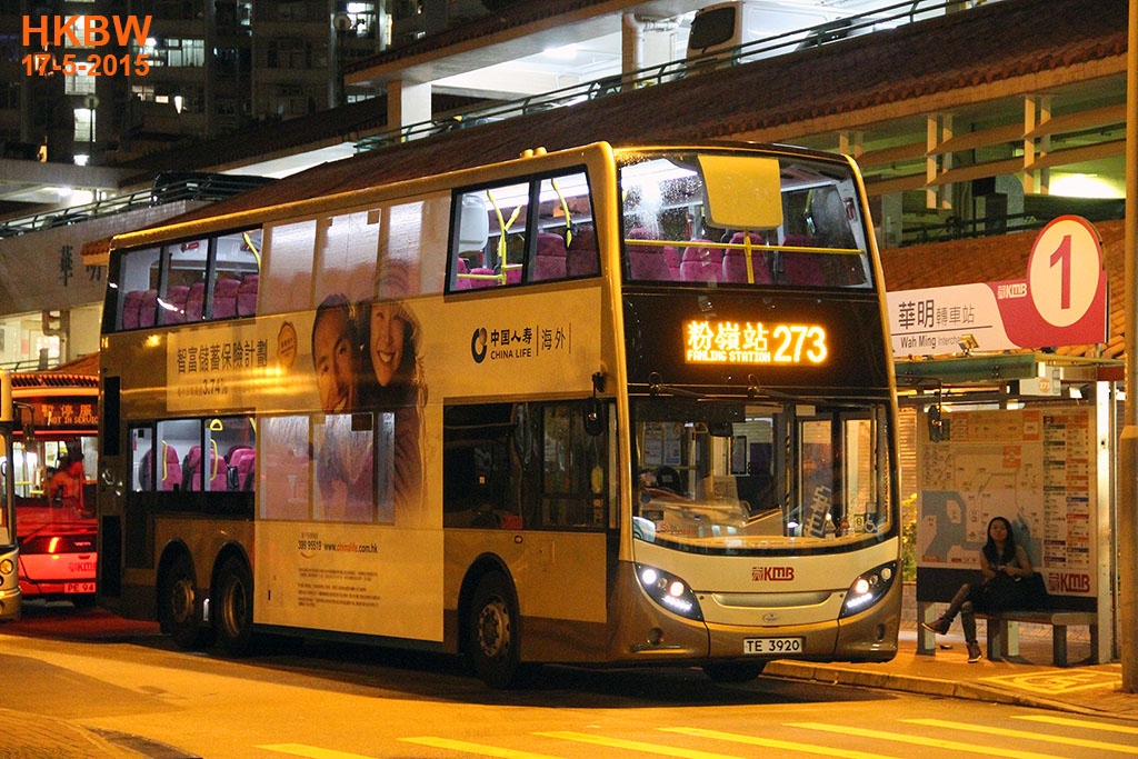 TE3920frin273.jpg