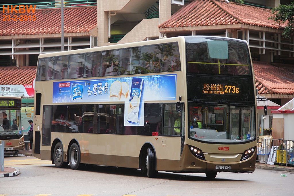 TE3842frtrin273S.jpg