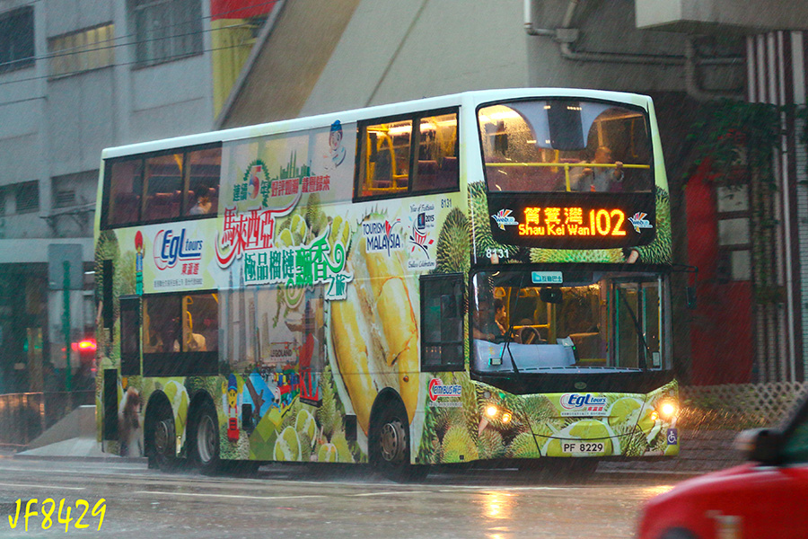 8131_102.jpg