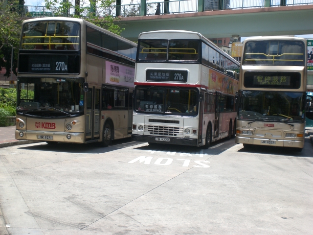 CIMG9135.JPG