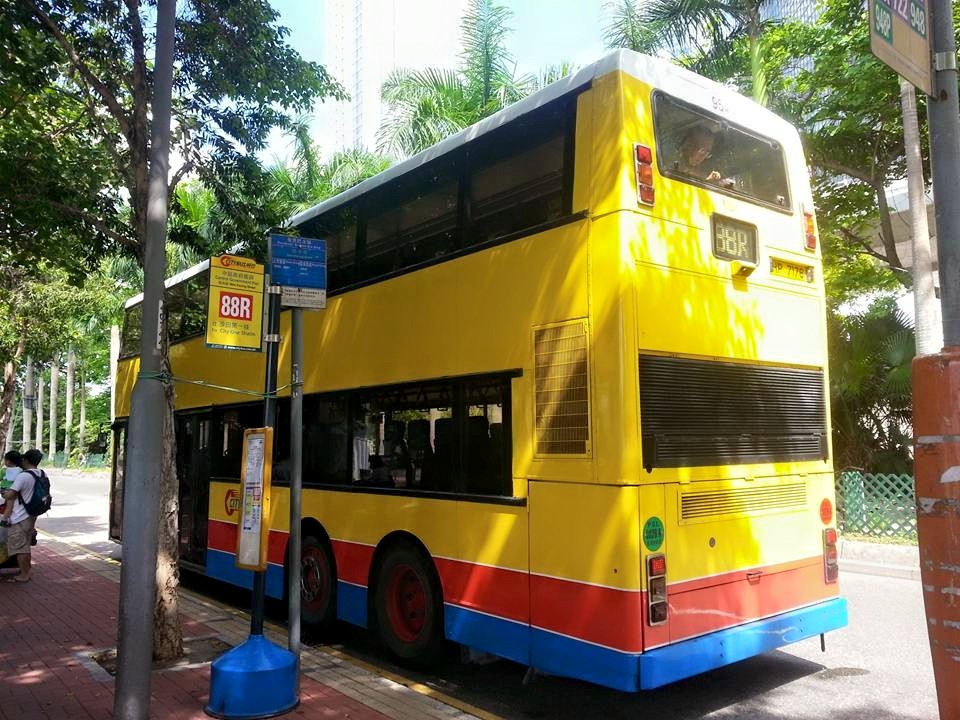 954.jpg