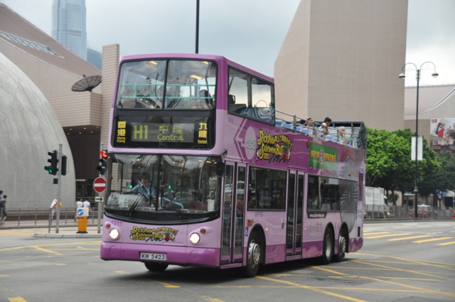 DSC_0728.JPG