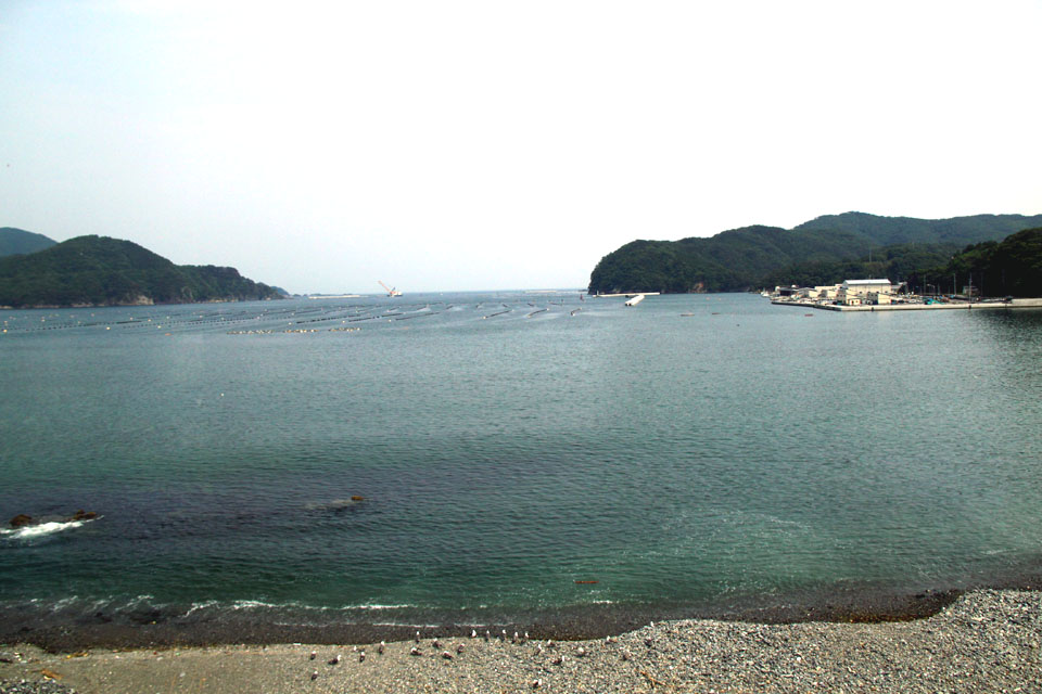 IMG_1626.jpg