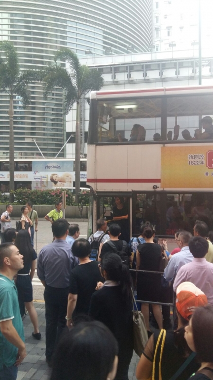 DL2.jpg