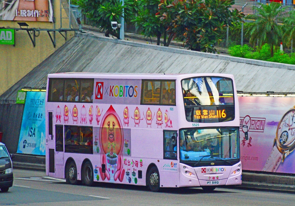DSC_1131finished(ss).jpg