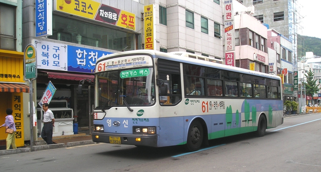 Busan_City_Bus_61.jpg