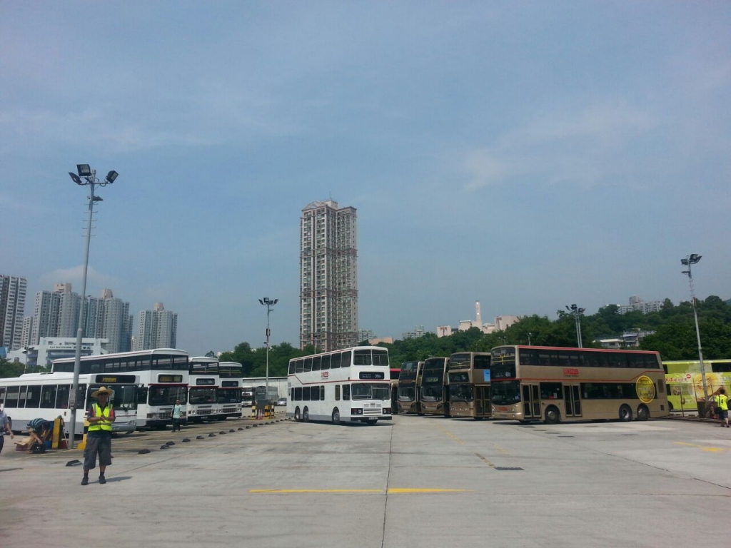 L1.jpg