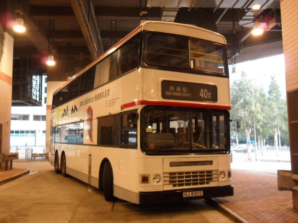 3AD44_HJ8202_40X.jpg