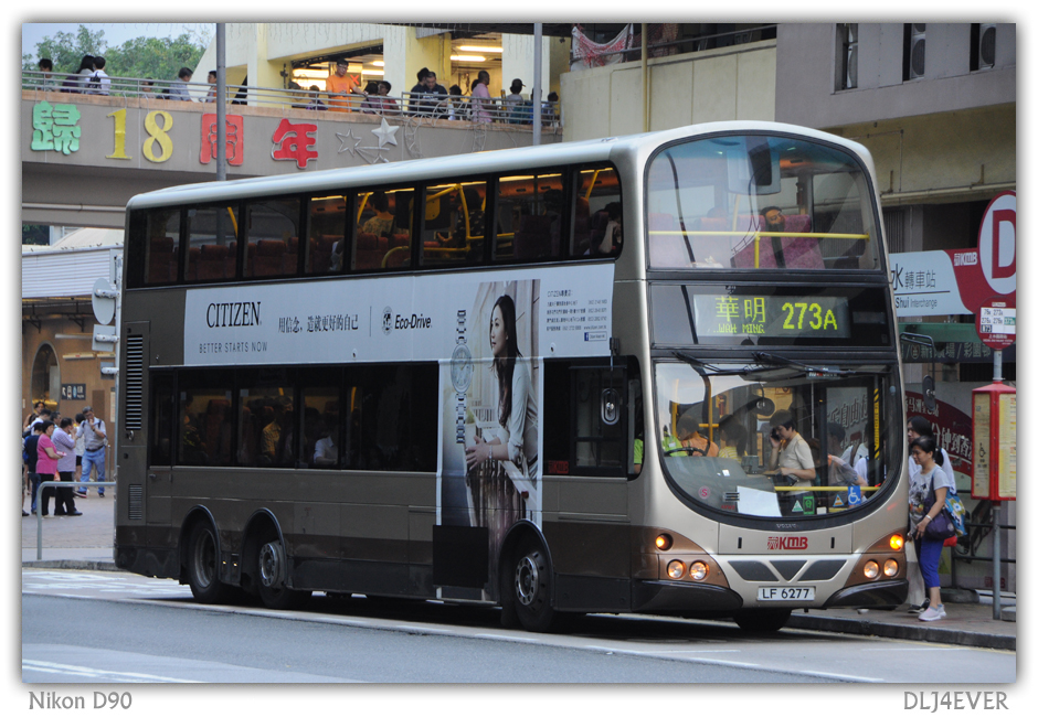 LF6277.jpg
