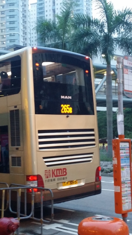 20150820_184712[1].jpg
