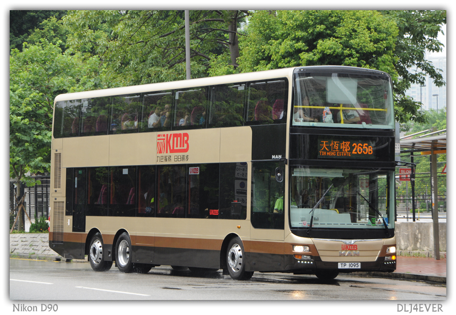 TP1095.jpg