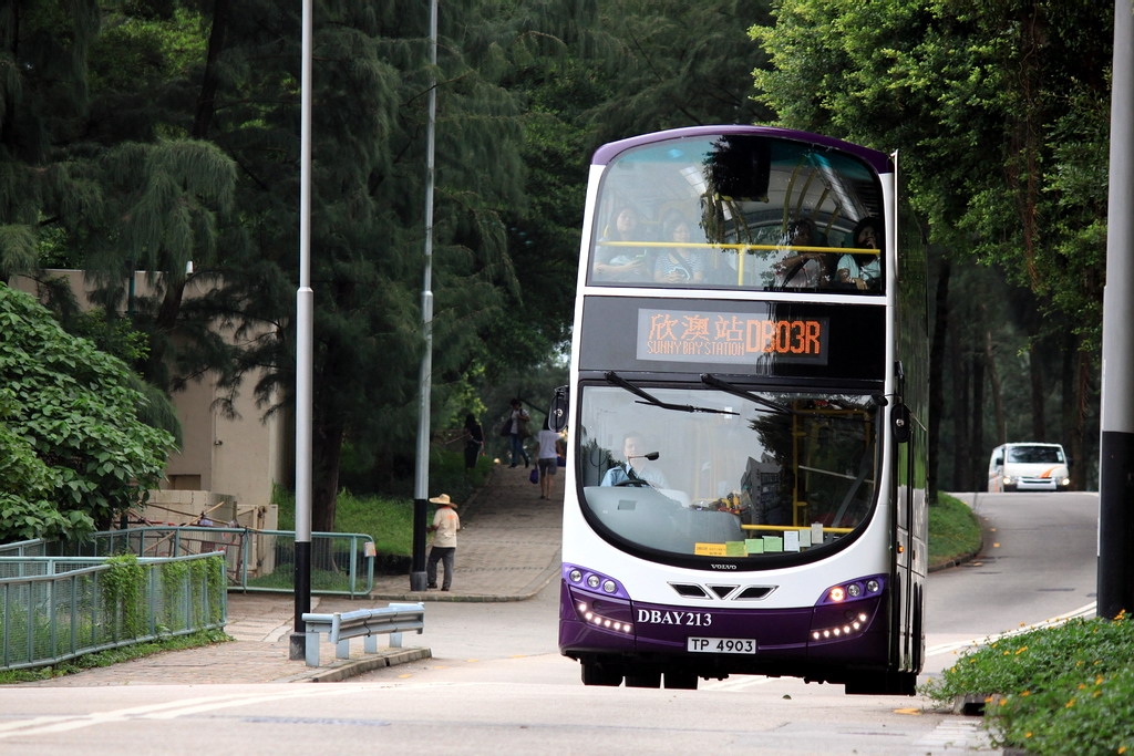 S1.jpg