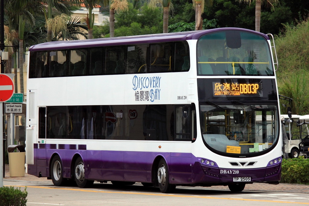 P7.jpg