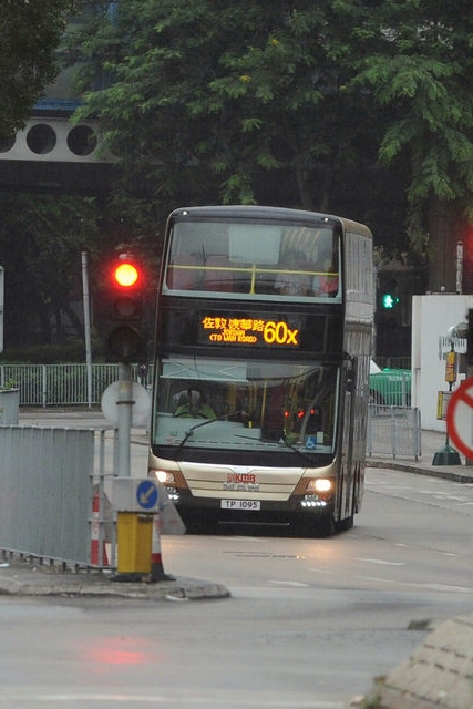 AMNE1 60X.jpg