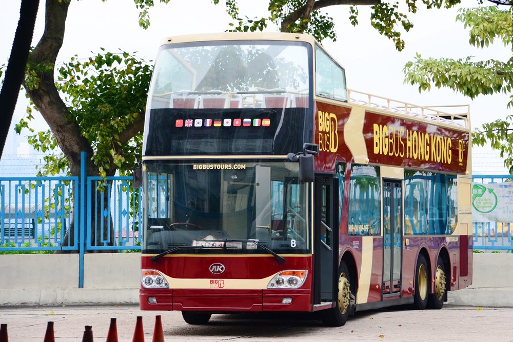 Bigbus AK 8.JPG