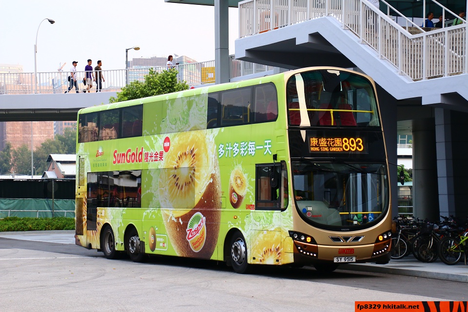 SY9515.jpg
